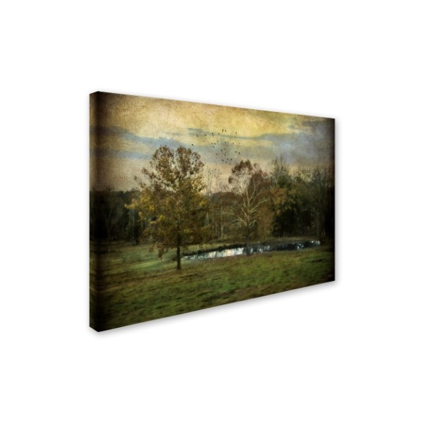 Jai Johnson 'Quiet At The Pond' Canvas Art,18x24